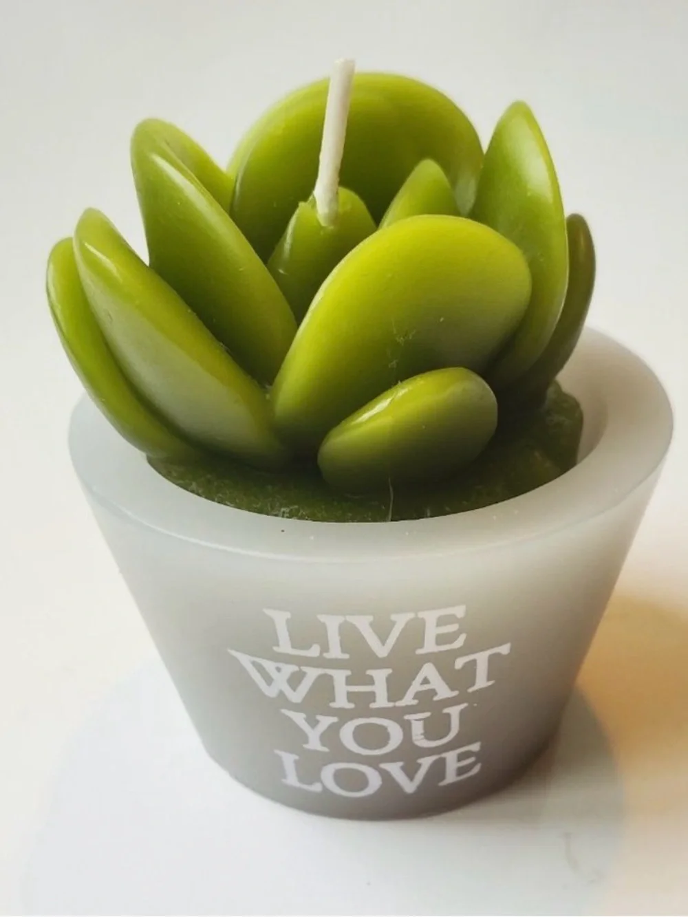 Succulent Cactus Shaped Candles, set of 3